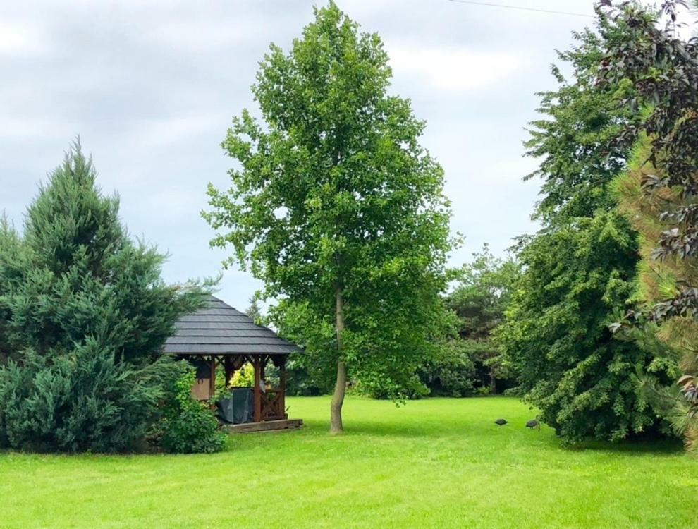 Apartmanove Ubytovanie Pod Dubom Polny Kesov Exterior photo